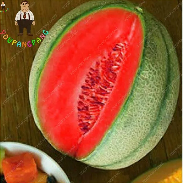20 штук Мускусная Дыня растения бонсай вкусные овощи фрукты украшения сада