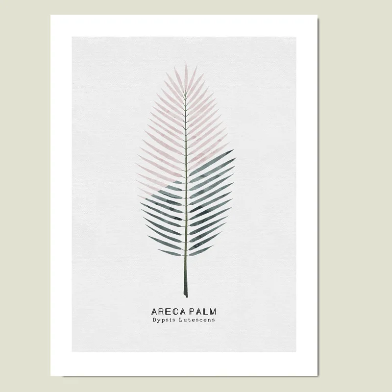 Плакаты и принты банановых листьев плакат Areca с ладонью Скандинавская