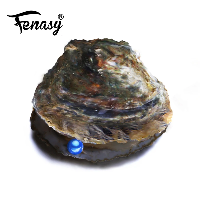 FENASY 100 шт. Устрица акойя с одним детским черным 6 8 мм круглым жемчугом в