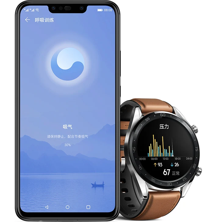 Водонепроницаемые Смарт-часы huawei GT Classic Edition оранжевого цвета, новинка, AMOLED HD дисплей, Bluetooth, gps, поддержка Android и IOS
