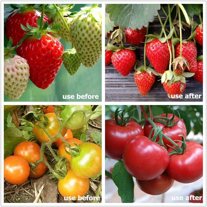 T8 White Color Full Secptrum LED Growth Light Bar Indoor Plant Pack of 4 | Growing Lamps