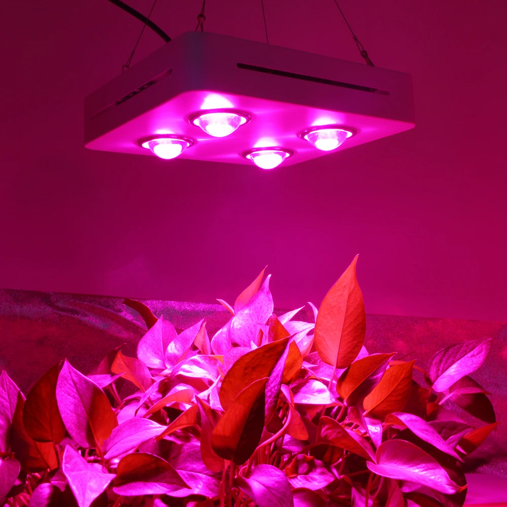 CF Grow 300 Вт 600 Вт COB светодиодный светильник для выращивания, полный спектр, для помещений, для гидропоники, для теплицы, светильник для роста растений, заменить, для выращивания НЛО, лампа для выращивания
