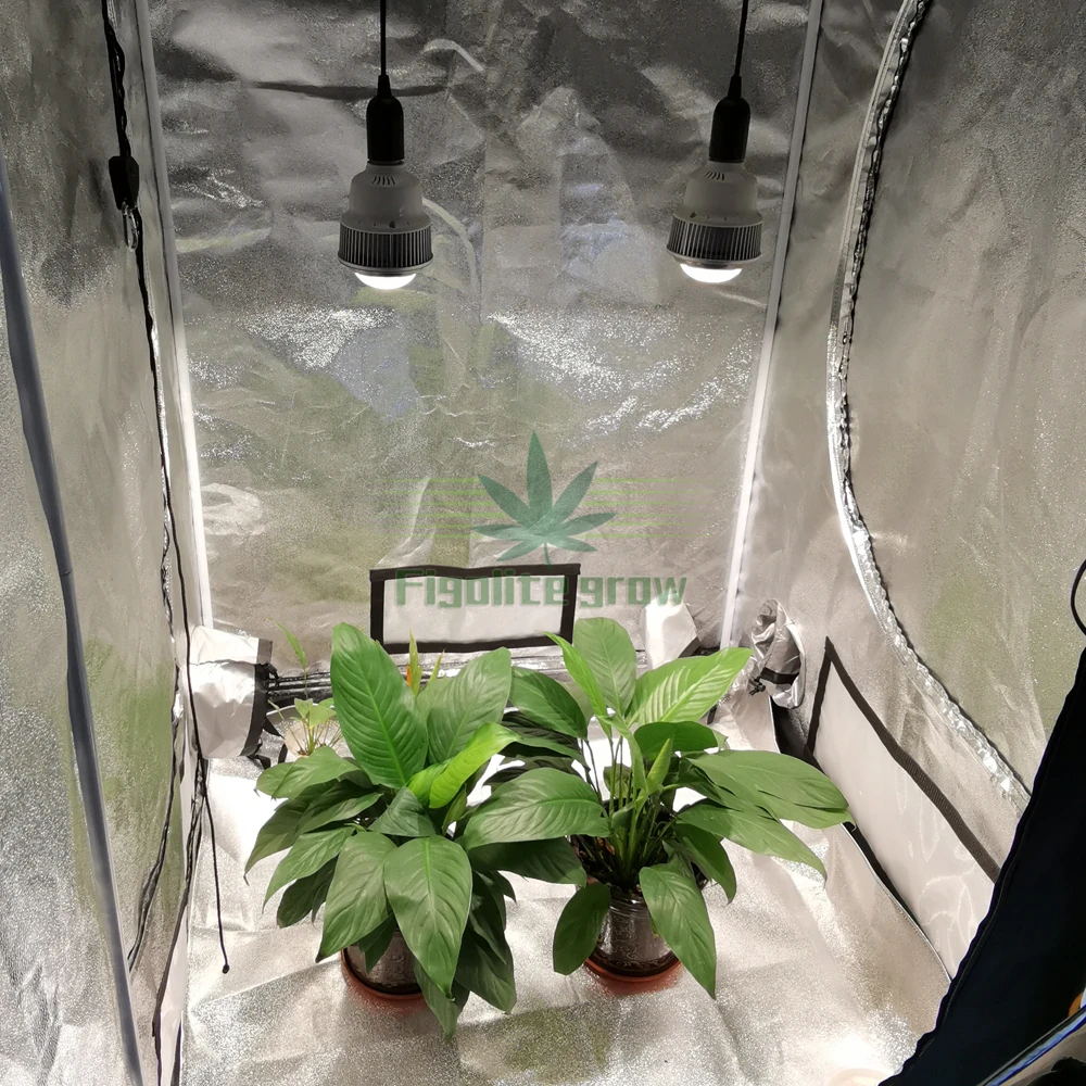 Figolite grow Amazon топ продаж полный спектр 100 Вт COB CXB3590 светодиодный светильник для выращивания лампы заменить 300 Вт CFL светильник