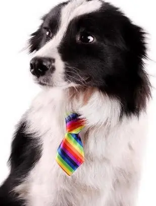 100 шт./лот большая продажа с фабрики собачьи Галстуки для домашних животных