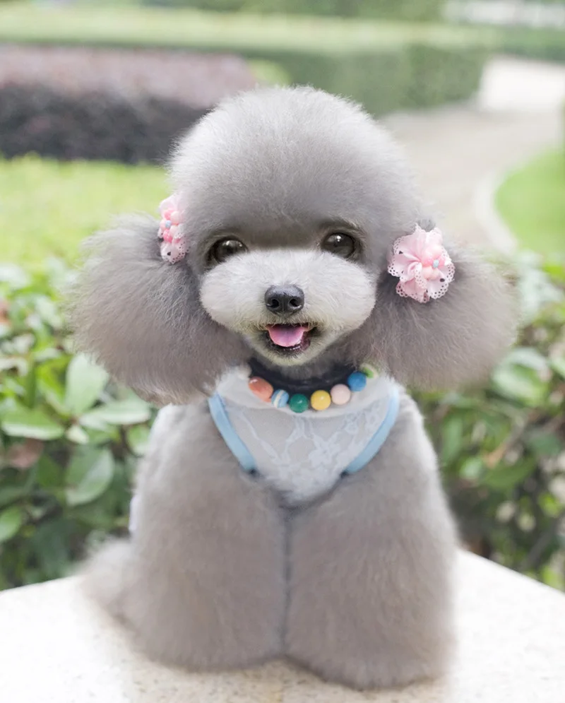 Милое кружевное пальто с бантиком и принтом Щенячий патруль для маленьких собак