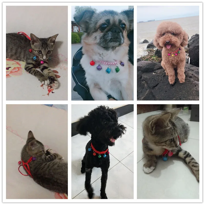 Ошейник для кошек ручной работы плетеный полиэстер маленькая собака кошка