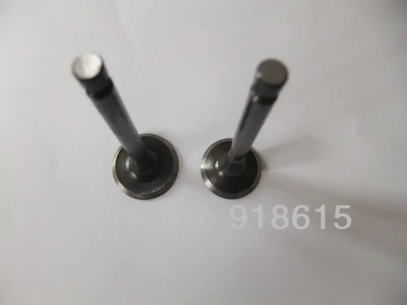 Впускной клапан и выпускной клапан EF2600 MZ175 бензиновый генератор и детали двигателя