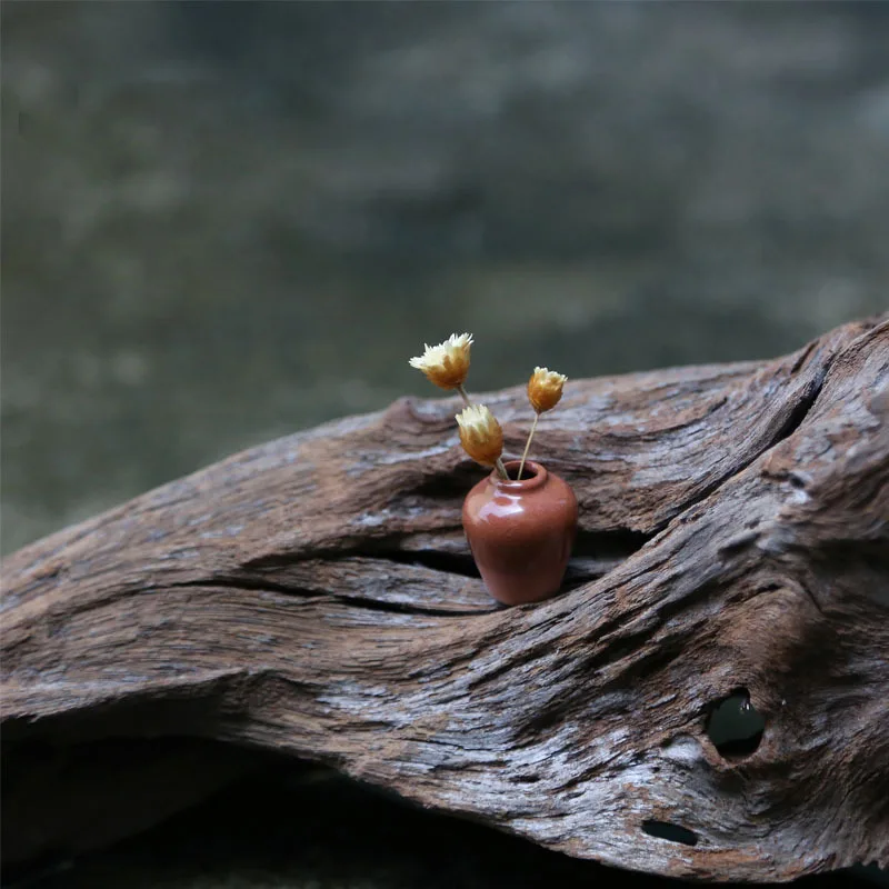 Ваза мини цветочный горшок миниатюрное украшение для сада в виде Феи дома