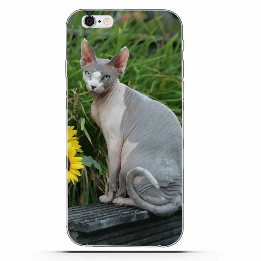 Чехол с кошкой для Samsung Galaxy A3 A5 A7 J1 J2 J3 J5 J7 2015 2016 2017 мягкие прозрачные силиконовые