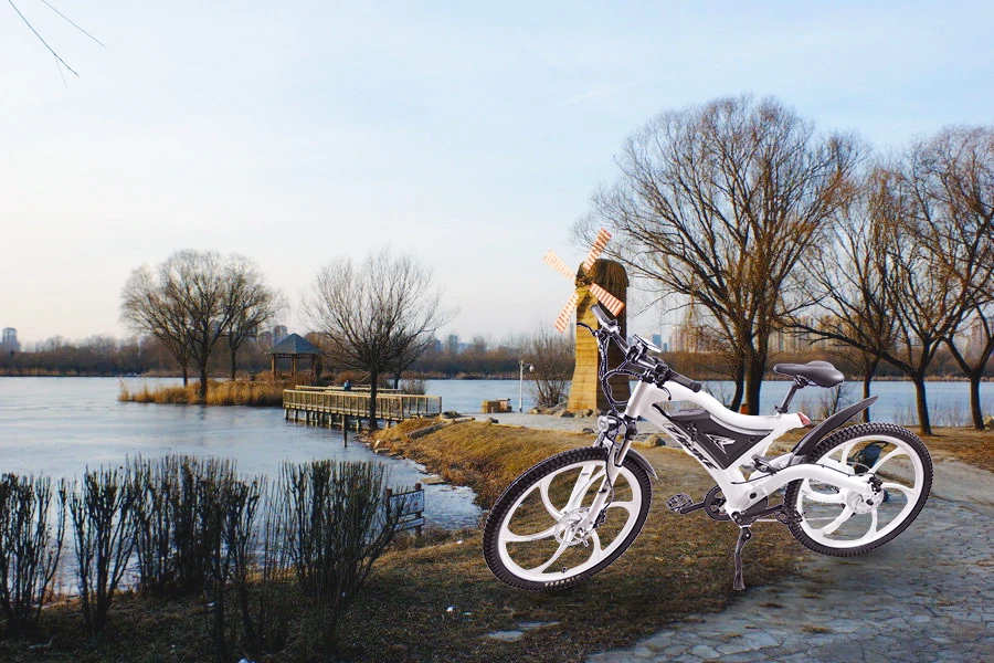 EZBIKE алюминиевый сплав рама электрический велосипед 27 скорость 500W36v горный велосипед Высокое качество Электрический горный велосипед упаковка ebike