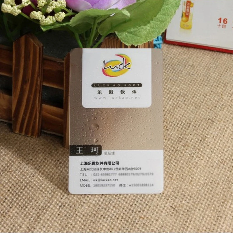 

2019 Fancy Product Custom Printing Transparent Plastic PVC Name Card Business Card Free design