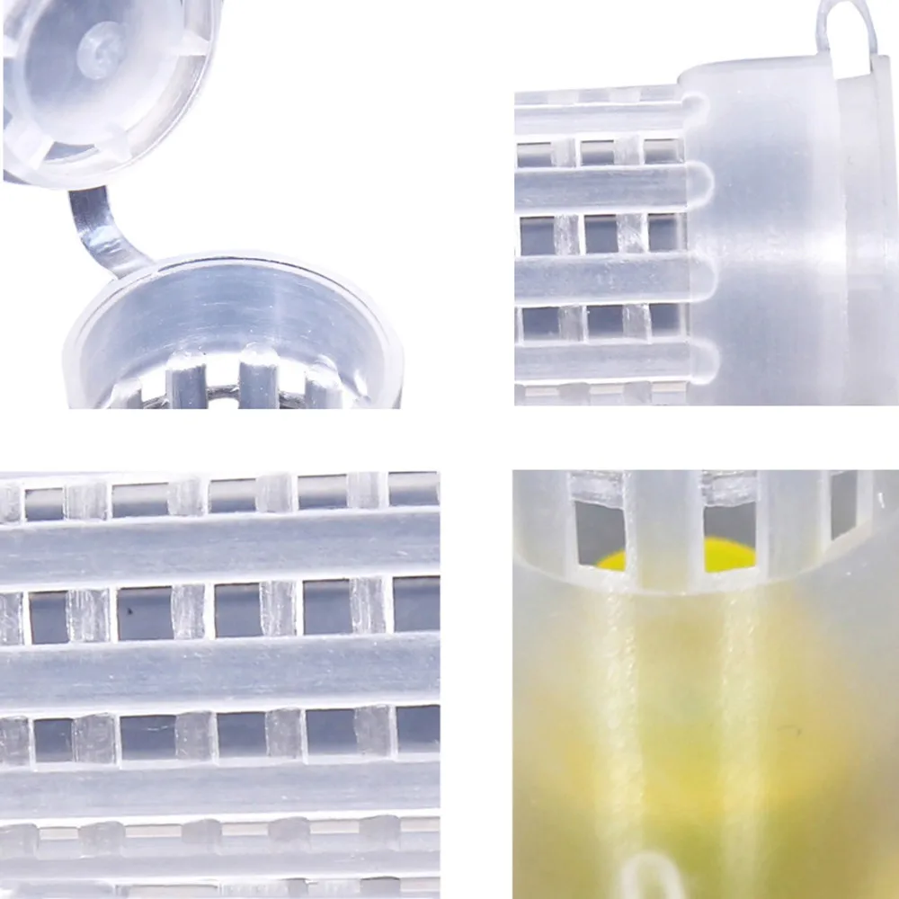 10 шт. Пчеловодство Rearing Cup Kit оборудование для пчеловодов инструменты