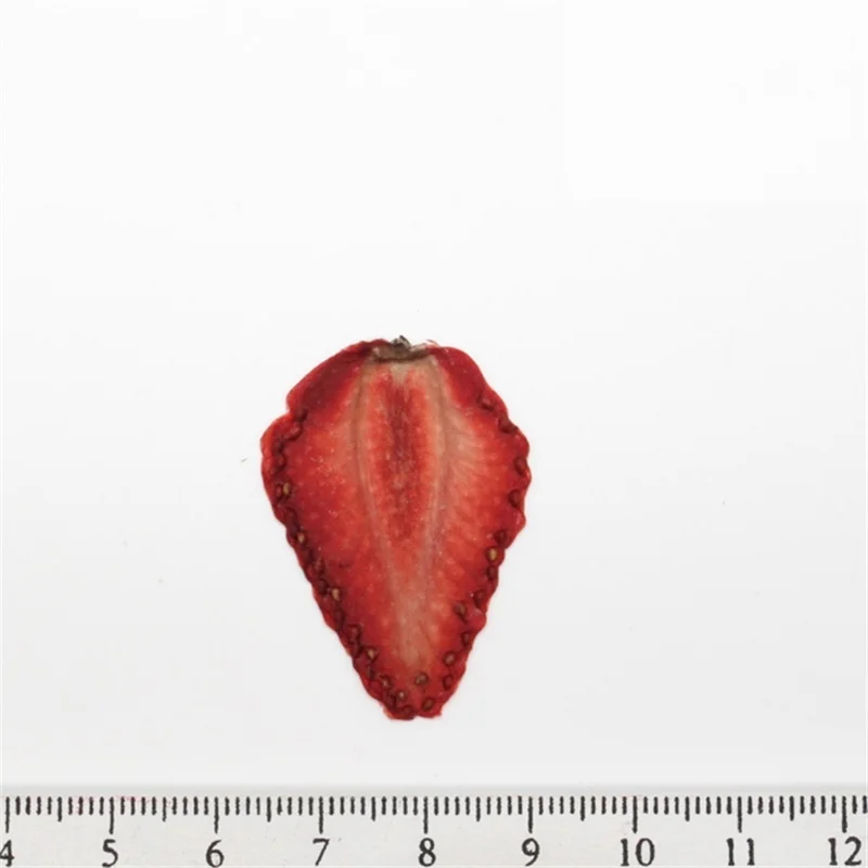 Strawberry CHUANGGE сушеные фрукты нарезанные DIY ручной работы свечи изготовления поставки оранжевый грейпфрут арбуз карамбола образцы воск украшения - Цвет: Strawberry