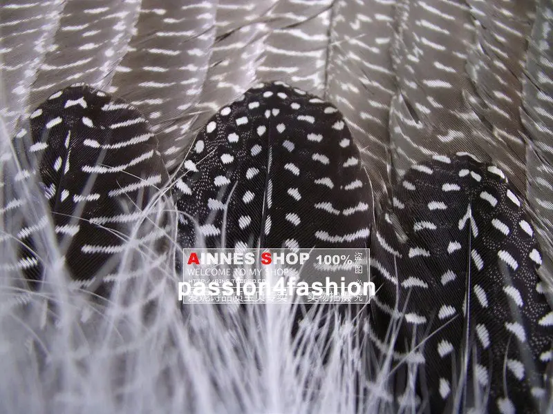 1 шт. детский фазан Натуральное перо | Дом и сад