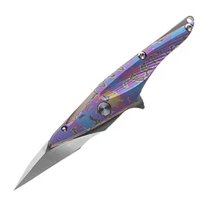 p3 Petrified fish Pocket Knife S35VN Blade Ball Bearing Titanium Handle Tactical Folding Knife Letter Opener Tool Utilily Knife - Цвет: p3