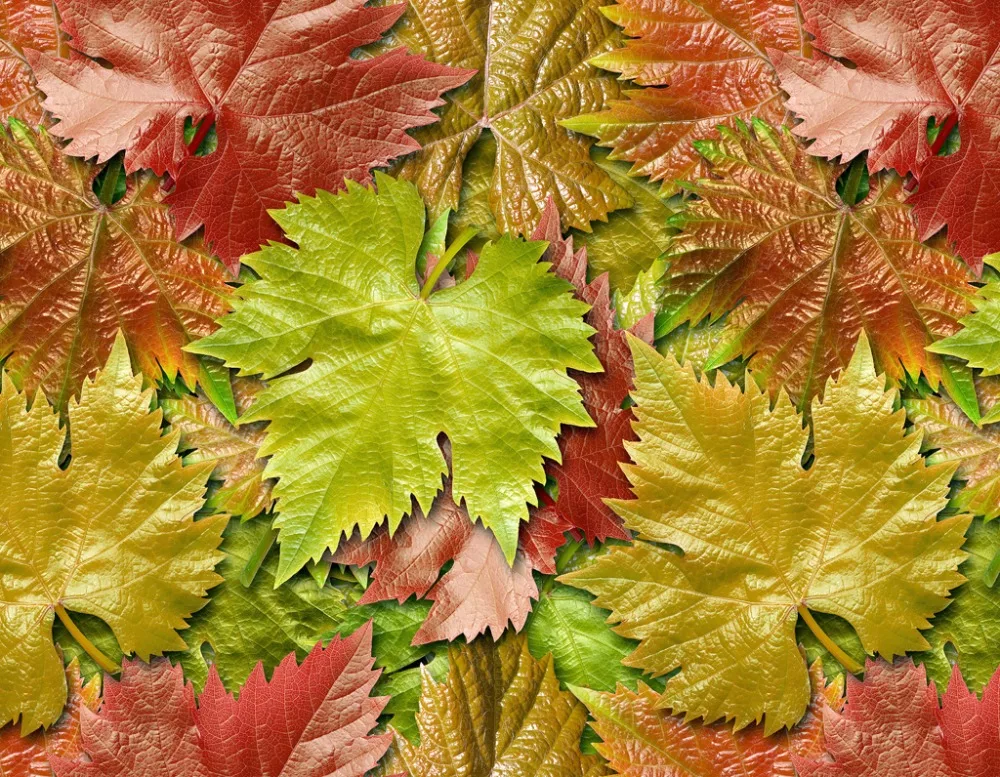 

window curtain for living room Grape leaves blackout curtain For bedroom window Home decoration 2019 stereoscopic curtains