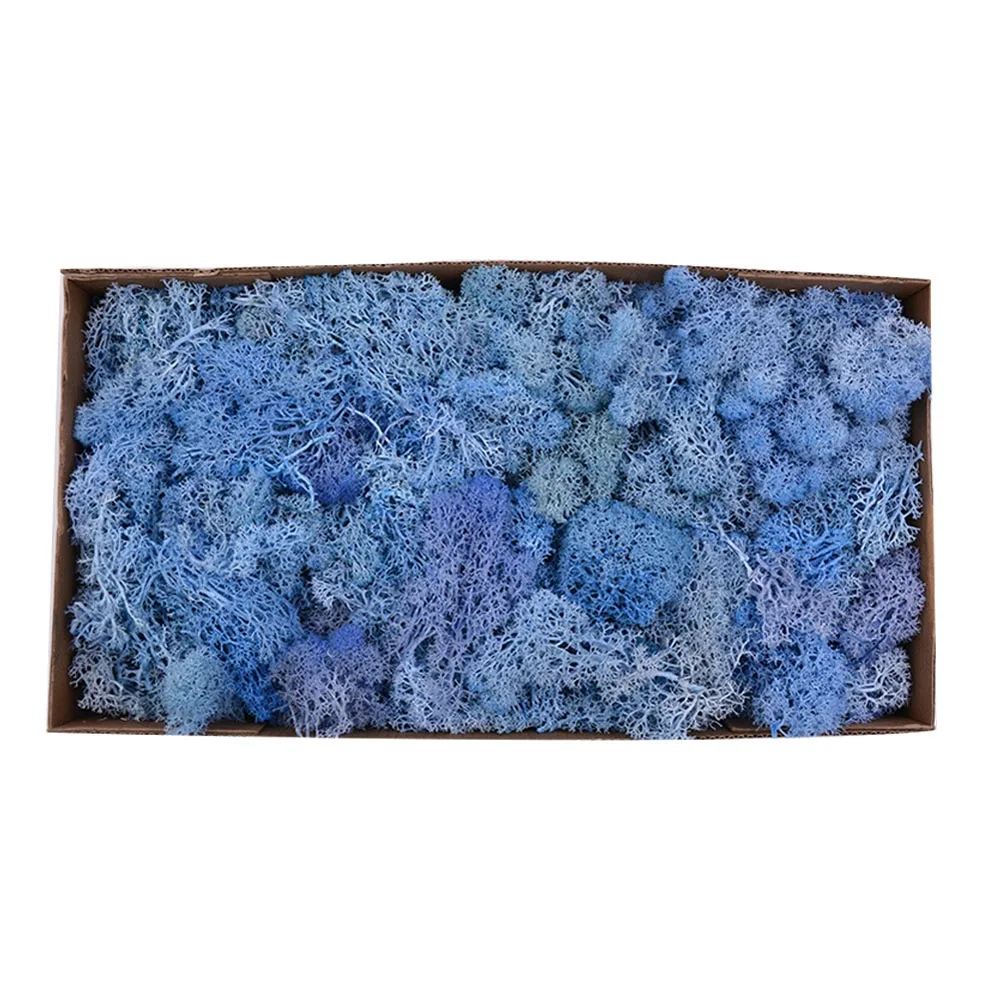 Light blue Красивые 500 г/кор. цветы из мха, долго сохраняющиеся сушеные цветы для рукоделия, домашний декор для свадебной вечеринки XH8Z JA11 - Цвет: Light blue