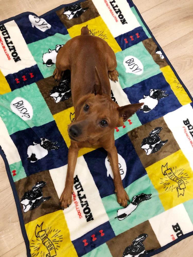 Мягкая флисовая подстилка для собаки или кошки|Дома конуры и манежи| |