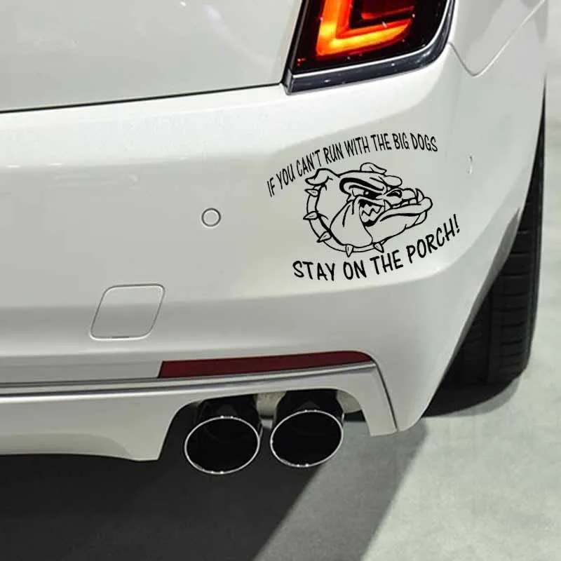 

YJZT 20.6CM*16.3CM DOG ON BOARD Cute Fashion Vinyl Material Decoration Car Sticker Black/Silver C2-3248