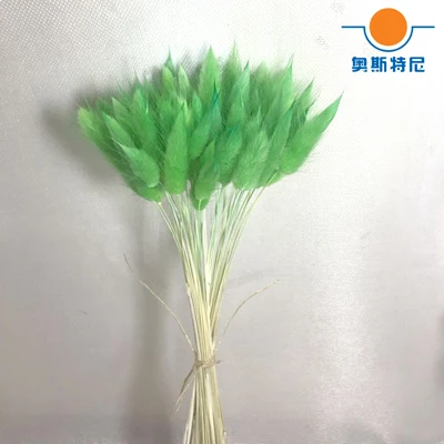 green color 50 шт. сушеные натуральные Цветочные букеты фиолетового цвета lagunus ovatus букеты& Uraria picta& rabbit tail трава Цветочные букеты грозди - Цвет: green color