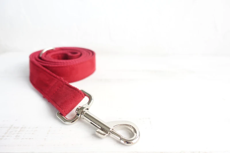 50 шт./лот muttco Оптовая Self-дизайн высокого качества поводок собаки для девочек