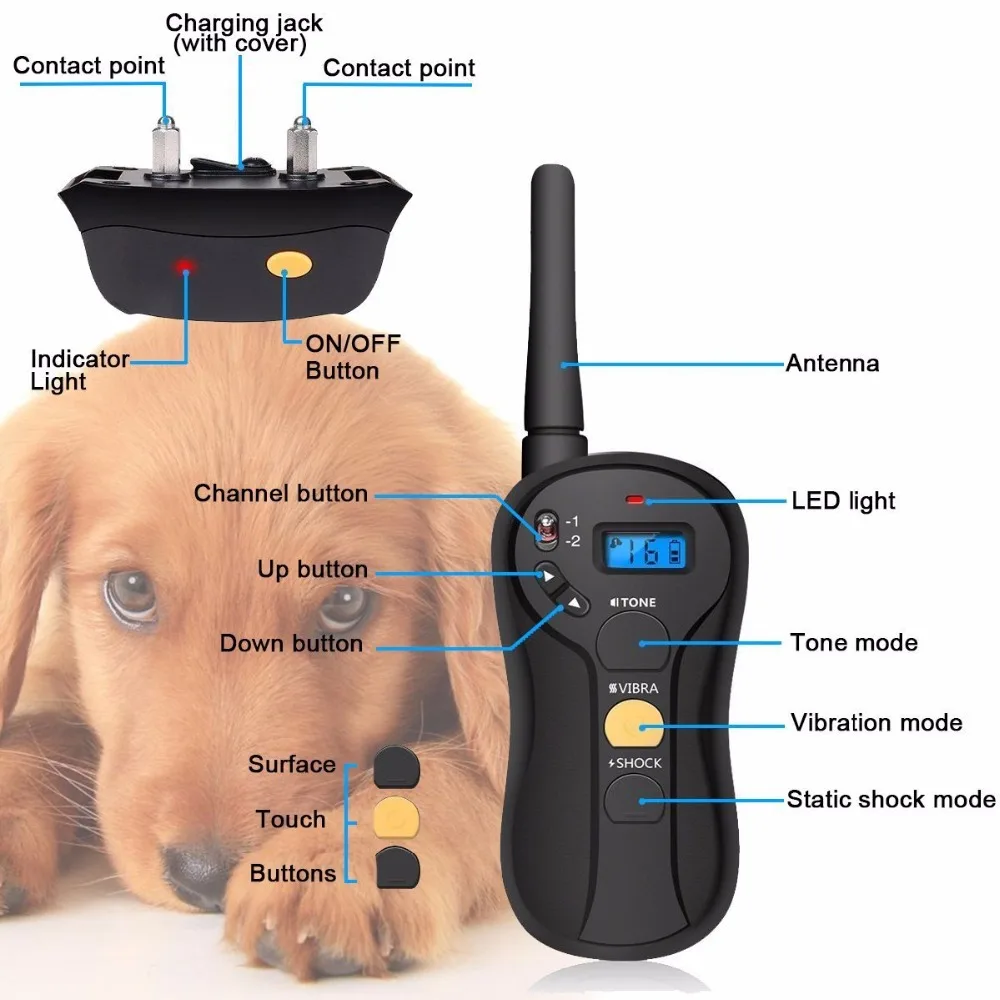 

Pet 650 PATPET