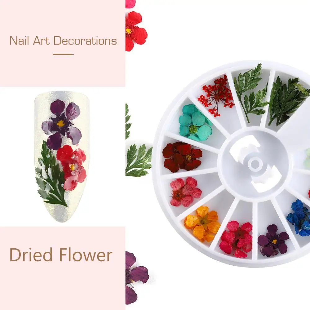 COSCELIA полный набор инструментов для маникюра акриловый ногтей толкатель все