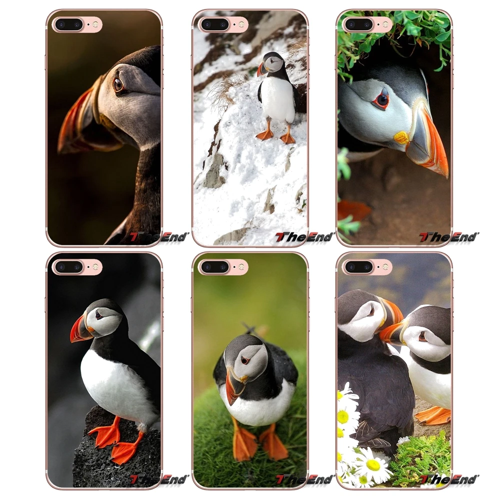 Atlantic Puffin Faroe Islands Soft Case For Samsung Galaxy S3 S4 S5 MINI S6 S7 edge S8 Plus Note 2 3 4 5 Grand Core Prime | Мобильные