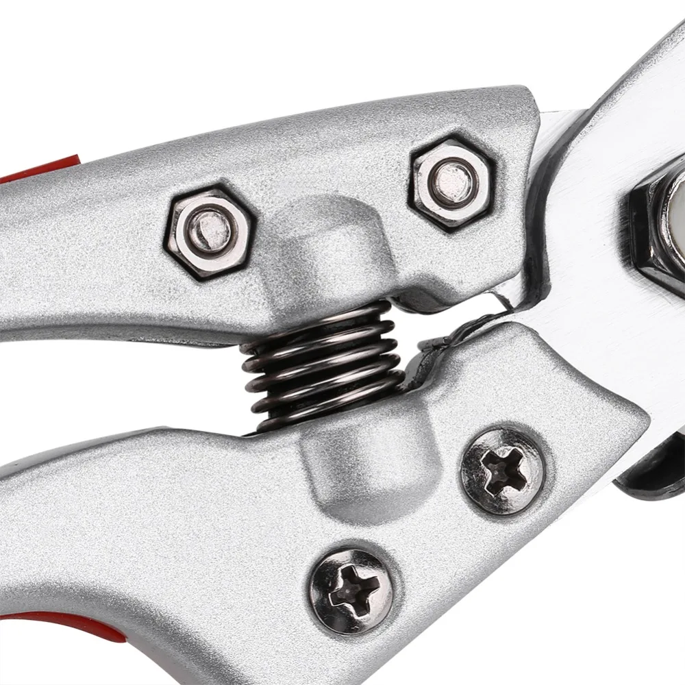 1 шт. ножницы для фруктового дерева|Ручные эджеры| |