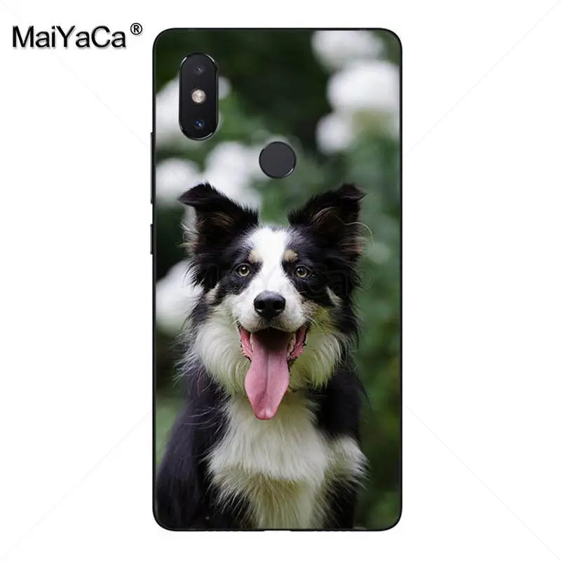 MaiYaCa милый чехол для телефона с изображением колли собаки новинка xiaomi mi 8se 6 note3 redmi