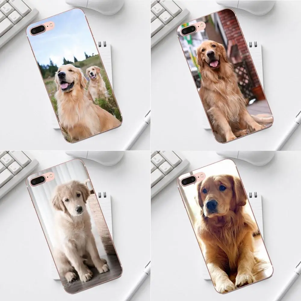 Тонкая кожа Qdowpz для Galaxy Alpha Core Prime Note 4 5 8 S3 S4 S5 S6 S7 S8 S9 mini edge Plus золотистый ретривер |