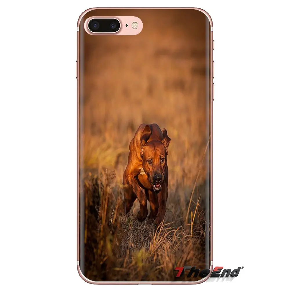 Прозрачные мягкие чехлы для iPod Touch Apple iPhone 4 4S 5 5S SE 5C 6 6S 7 8 X XR XS Plus MAX Rhodesian Ridgeback Dog |