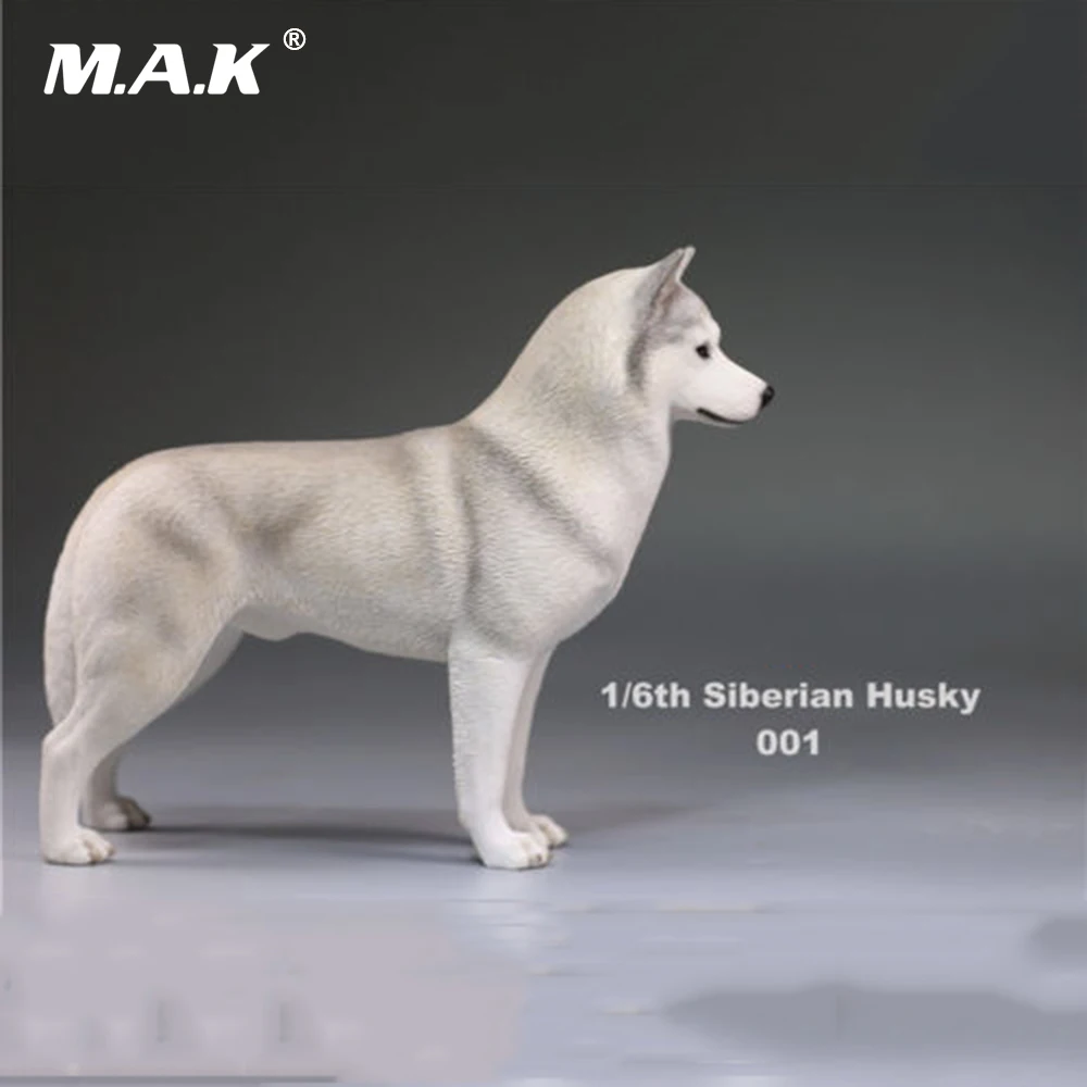 1/6(1") аксессуар для фигурки 1:6 Siberian Husky Simulation animals XVI 001 собачьи игрушки модели