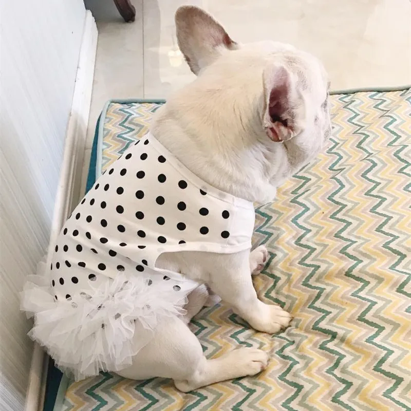 Cute Dots Summer Dog Dress Pug Clothes French Bulldog Clothing Vest Skirt Tutu Poodle Bichon Schnauzer Pet Costume | Дом и сад
