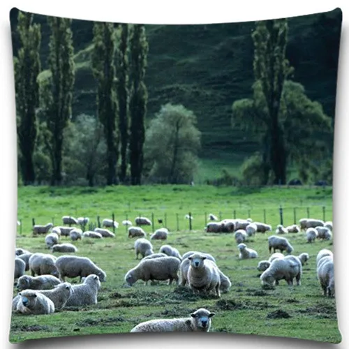 Alpaca and its детская квадратная наволочка мягкий материал для детей девочка мальчик