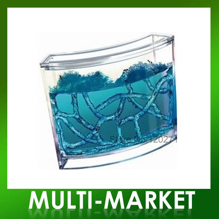 Free shipping/ Ant Farm Maze Novelty Ecological Toys Ants Home Antworks Science Educational Large Size | Игрушки и хобби