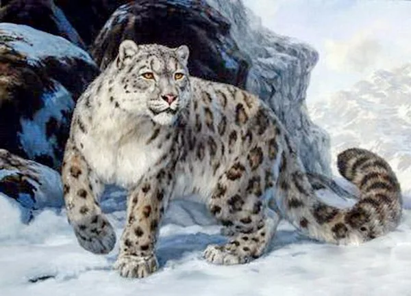 5D алмазная картина, Алмазная мозаика, экологические ремесла, полная Алмазная вышивка, снежный леопард, наклейки на стену, декор для отеля - Цвет: F234
