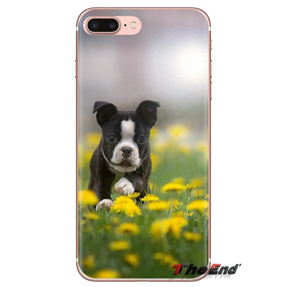 Для iPod Touch Apple iPhone 4 4S 5 5S SE 5C 6 6S 7 8 X XR XS Plus MAX мягкий прозрачный чехол для телефона Boston