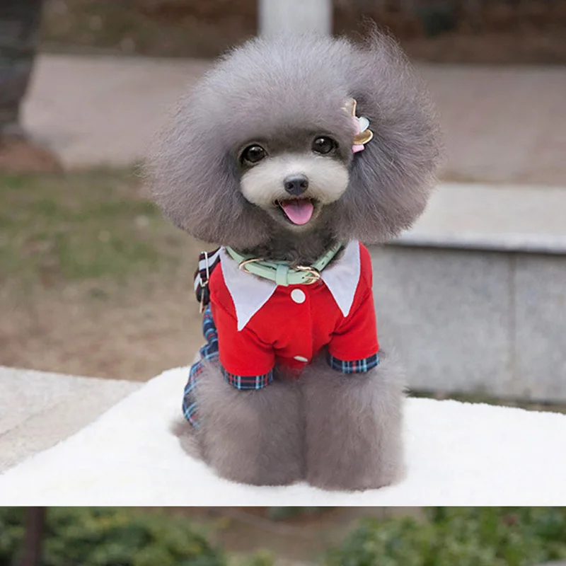 Новое Поступление Chicdog Хлопок Pet Одежда Для Собак Весна Лето Комбинезоны Четыре