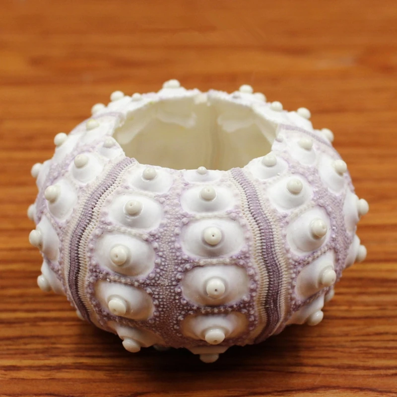 

Air Plants Sea Urchin Tabletop Tillandsia Holder Miniature