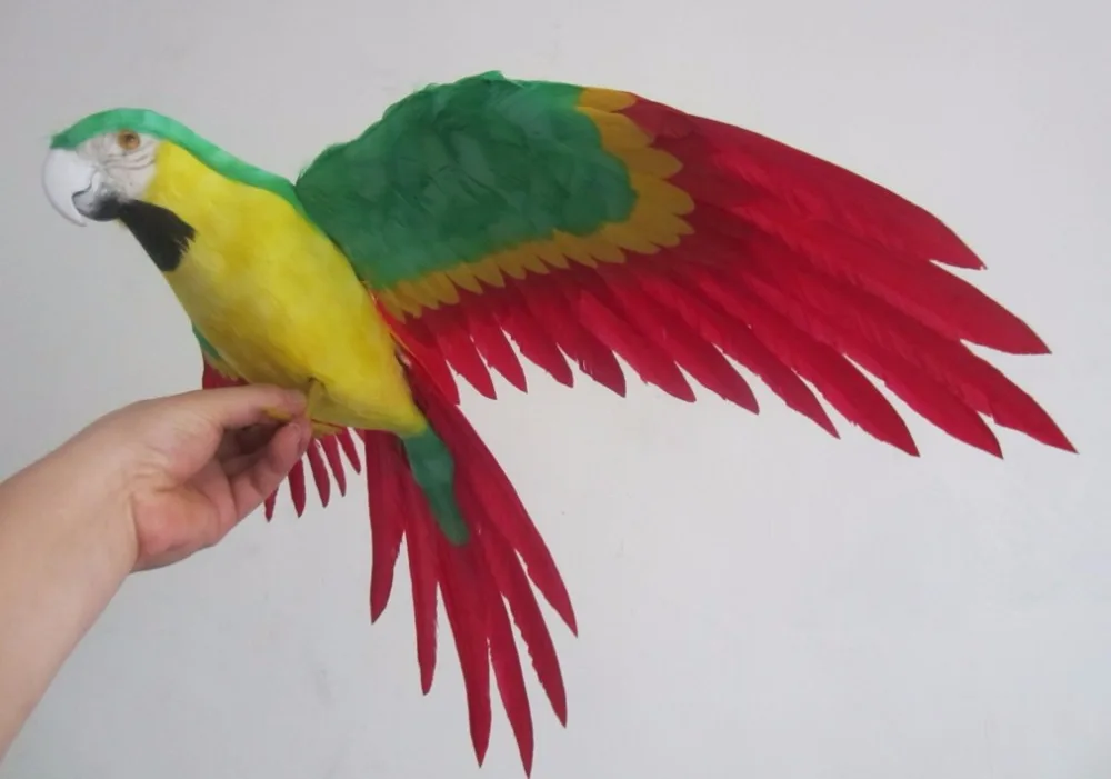 colorful feathers 45x60cm spreading wings parrot bird artificial bird model handicraft ,home garden decoration gift p2709 simulation parrot large 40x48cm spreading wings feathers parrot toy model home decoration gift h1123