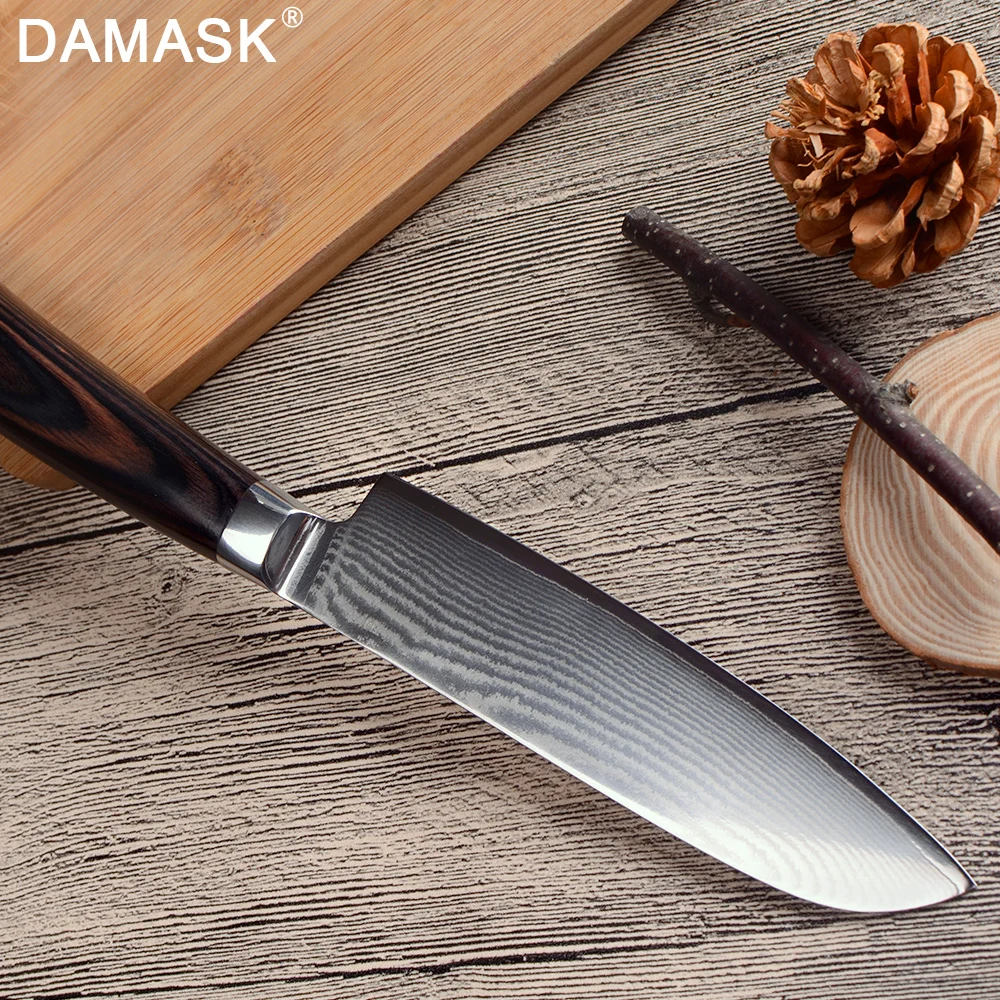 ZINZUO дамасский кухонный нож VG10 Balde шеф-повара 5 дюймов Santoku японский 67 слой стали Pakka