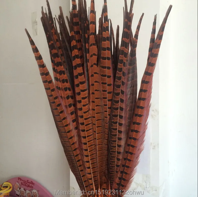 

Wholesale 100 beautiful Orange pheasant feather 18-20 inch 45-50 cm, DIY decorative !