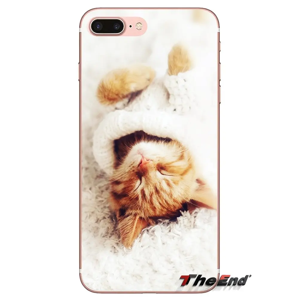 Cat wear grandmother's glasses For Samsung Galaxy J1 J2 J3 J4 J5 J6 J7 J8 Plus 2018 Prime 2015 2016 2017 Transparent TPU Housing |