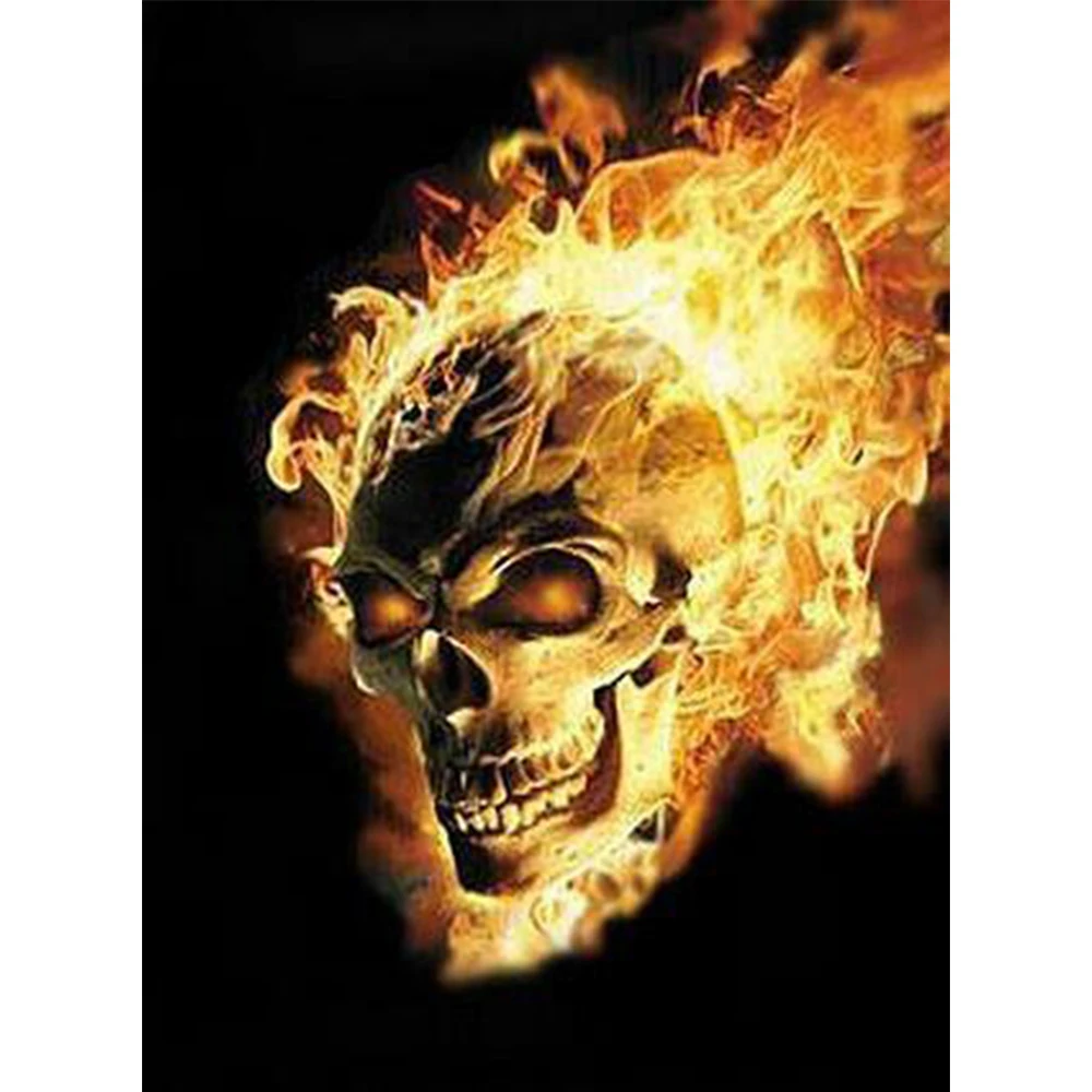 Алмазная 5D мозаика LI LOYE FZ735 для творчества алмазная живопись Shantou fire