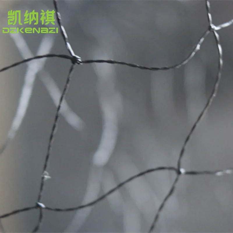 

75D/2 Polyester 2.5 x 6 M 15mm Hole Orchard Garden Anti Bird Net Polyester Knotted Sparrow Mist Net