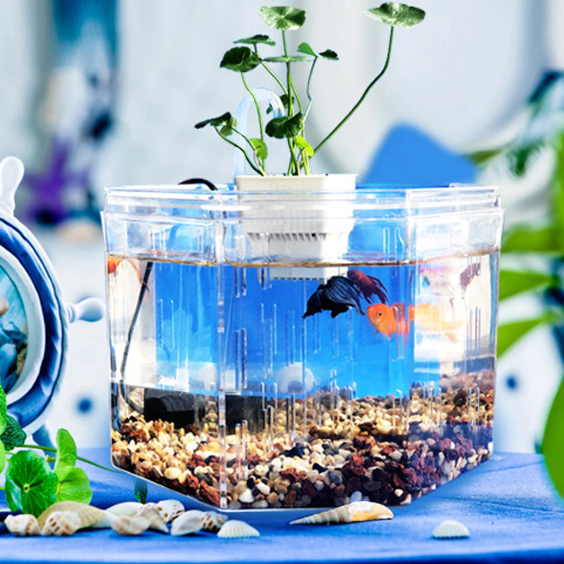 PETFORU Bettas аквариум с цветочной корзиной насос труба фиксированная пластина