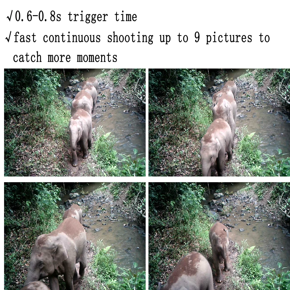 Trail Camera игровая камера ночного видения водонепроницаемая IP66 ИК светодиоды HD 12mp