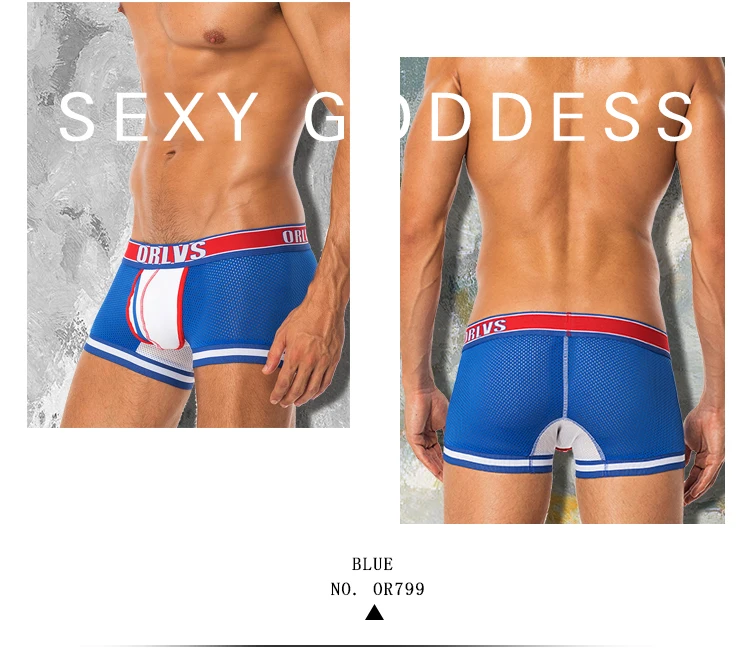 Г. пикантные мужские трусы боксеры дышащие Cueca мужские шорты трусы 2 Цвет Boxershorts 3D чехол дизайн синий OR799