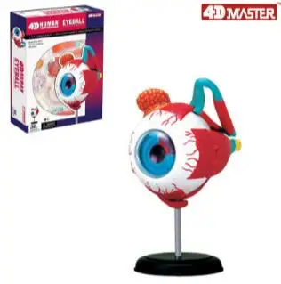 4D модель глаза 32 части анатомическая человека новая 3D структура головоломка. |